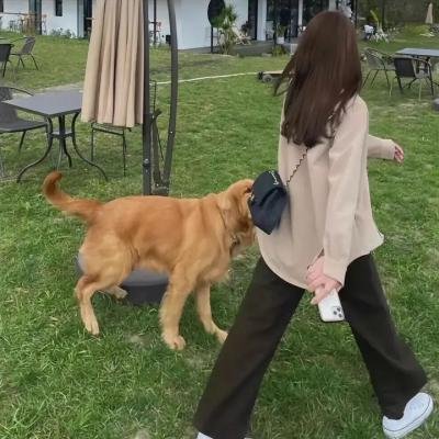 辣舞姐妹